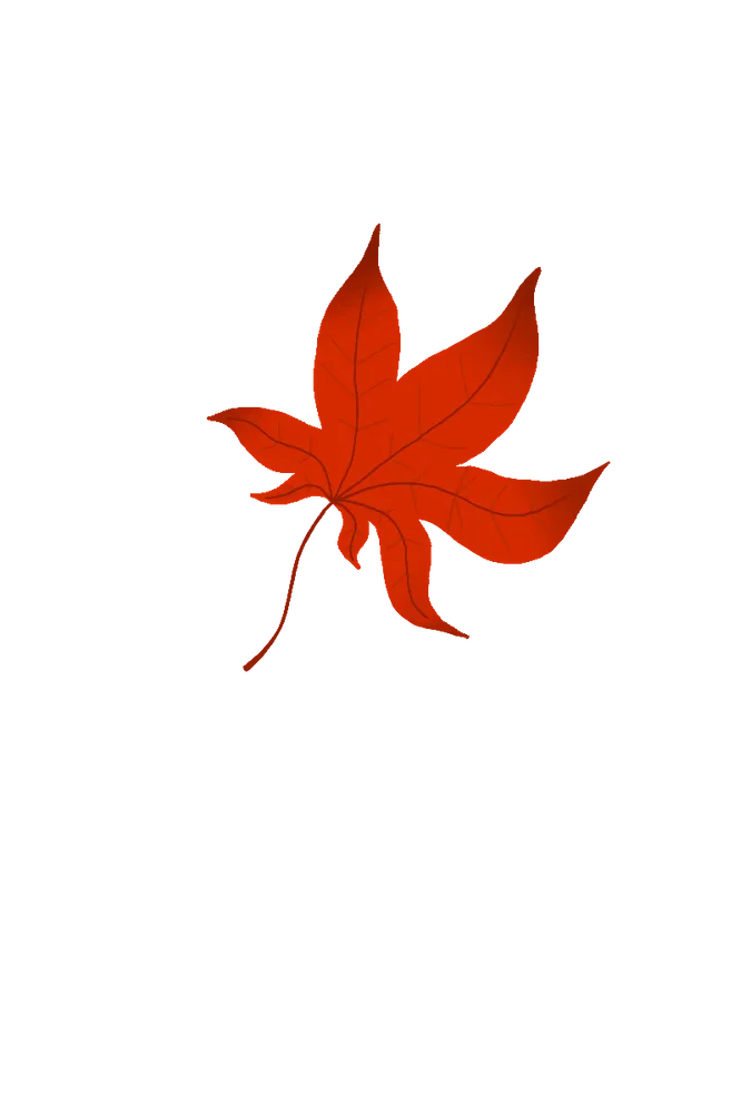 800-1200_가이드 (7).png
