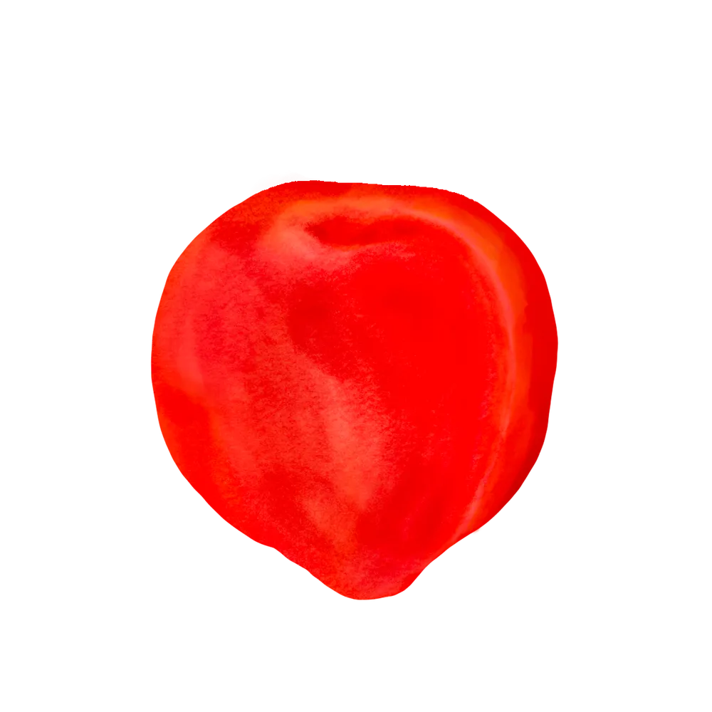 제목_없는_아트워크 (23).png